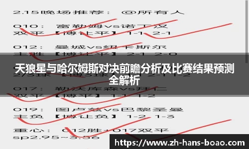 天狼星与哈尔姆斯对决前瞻分析及比赛结果预测全解析
